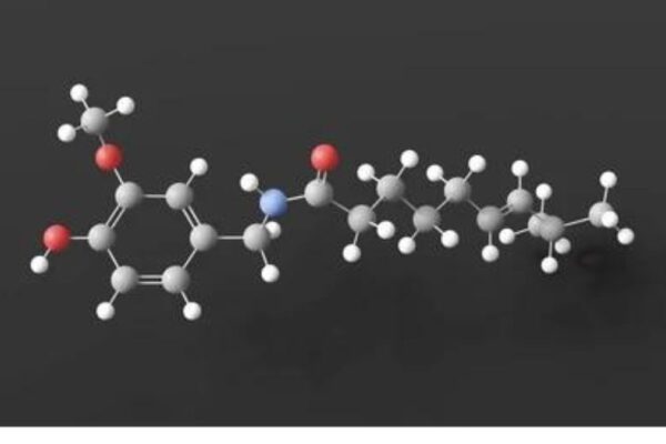 The Role of 6530-20-1 Metabolites in Pharmaceutical Development