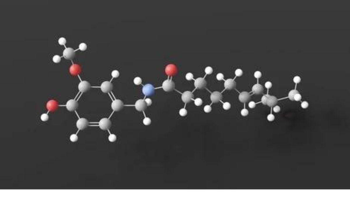 The Role of 6530-20-1 Metabolites in Pharmaceutical Development